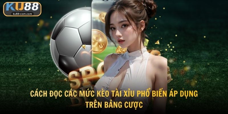 Cách đọc các mức kèo tài xỉu phổ biến áp dụng trên bảng cược