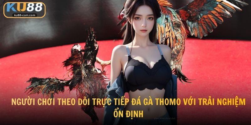 Người chơi theo dõi trực tiếp đá gà Thomo với trải nghiệm ổn định
