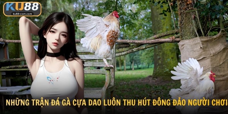 Những trận đá gà cựa dao luôn thu hút đông đảo người chơi